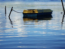 Андрей Ермак: в Калининградской области более 10 тысяч моторных лодок