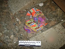 В Калининградской области поезд сбил насмерть 71-летнюю пенсионерку