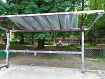 За 2 дня в Калининграде разбили пять новых остановок