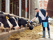 Россельхозбанк расширил витрину цифровых сервисов экосистемы Своё Фермерство новыми уникальными агротехрешениями