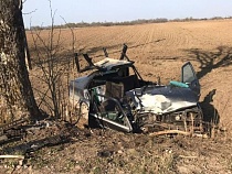 В ДТП с врезавшимся в дерево «Фольксвагеном» выжили три человека
