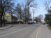 Застройщик кафе в Янтарном пробил вырубку деревьев под него через суд