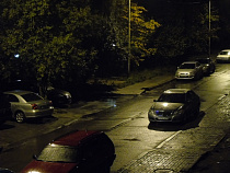 ГИБДД призывает водителей быть повнимательней