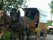 Немецкая повозка сломалась на калининградских дорогах (видео)