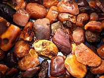 Литовские пограничники перехватили полцентнера контрабандного калининградского янтаря