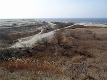 Королям лосося дадут землю в Янтарном под его разведение в 1 км от очистных