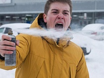 В Калининграде «зоозащитник» выгрызал себе собаку газом