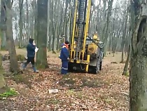 В Гурьевске начали подготовку к застройке рощи на въезде