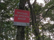 Заключённые сделали в Калининграде 104 урны для сбора мусора