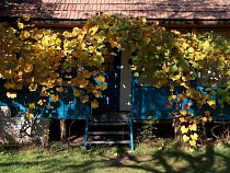 Гость региона украл из дачного домика калининградки 160 тысяч рублей