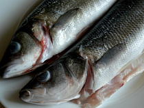 На рыбоперерабатывающем предприятии под Зеленоградском грубо нарушались требования СанПиН