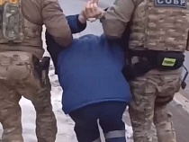 Под Калининградом собаковод-грабитель подрался с полицией