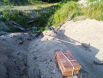 При прокладке кабеля по Куршской косе утонул ребёнок кабана