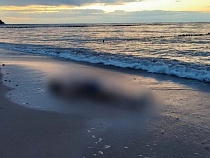 На пляже под Светлогорском нашли тело туриста из Воронежа