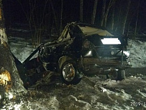 За сутки в Калининградской области произошло два смертельных ДТП