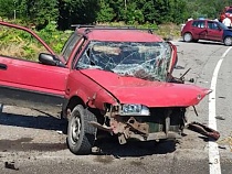 Трагедия: под Неманом погиб водитель «Тойоты Короллы»