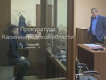 Участник ОПГ из Калининграда развёл жителей Тулы на сотни тысяч рублей