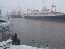 На выходных в Калининград придёт весна