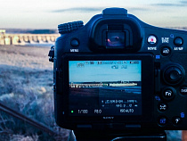 Детский кинофестиваль «Янтарный муравей» пройдет в Светлогорске