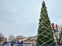 В Балтийске недовольные добились переноса новогодней ёлки