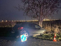 Пьяная на «Пежо» ночью приехала у Приморского кольца в дерево