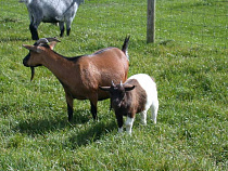 Администрация Озерского района подала в суд на местного жителя