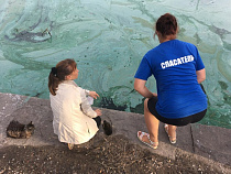 Воду из непонятного пузырящегося пятна на озере Шенфлиз отправили на анализ