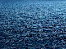 Из моря у Балтийска подняли труп человека