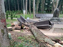 Названа настоящая причина вырубки в парке в центре Гурьевска