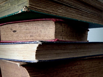 За премии себе и сотрудникам главного библиотекаря Озёрска оштрафовали