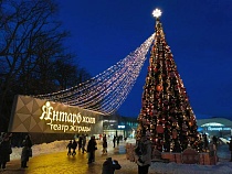 Жители Калининграда устроили ночной заезд по новогодним ёлкам региона