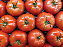 273 кг санкционки нашли на рынках Калининграда с начала 2018 года