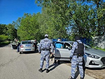 В Калининграде по видеокамерам выследили злостных нарушителей  