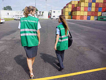 В Калининградскую область из Македонии ввезли 18 863 тонн заражённых баклажанов