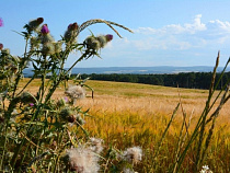 Алиханов: мы на пределе своих возможностей 