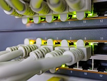 В Калининграде задержали новых похитителей интернета