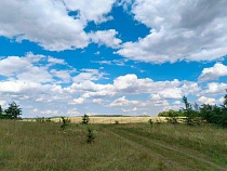 В Черняховском районе забирают 12 га земли у человека