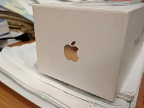 В Светлогорске будут судить парней, избивших мужчину из-за «яблочного» телефона