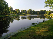 Когда спадёт жара в Калининграде: синоптики дали прогноз