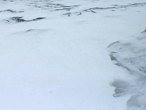 В Калининградской области заметили дрейфующие льды