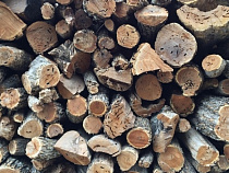 Строительство завода по глубокой переработке древесины в поселке Голубево планируется начать в 2017 году