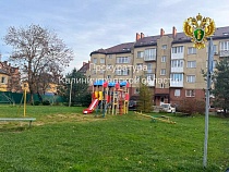 В Пионерском лайка покусала 11-летнего мальчика