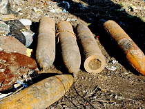 Калининградские саперы обезвредили два боевых снаряда 