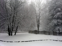 Прогноз погоды в регионе на понедельник: местами туман и до минус 4