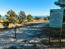 У связанной с делом Калины фирмы возникла супер-проблема на Куршской косе