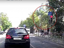 На видео попал момент падения дерева в центре Калининграда