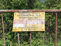 Правительство Калининградской области рассказало, когда выплатит дачникам деньги на проезд