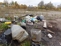 В Калининграде детей бросают на уборку мусора