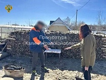 Бычившему на полицию в Зеленоградске выписали 1,5 года в колонии