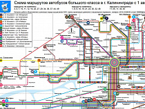 Схему городского транспорта Калининграда с 1 августа будут раздавать на остановках